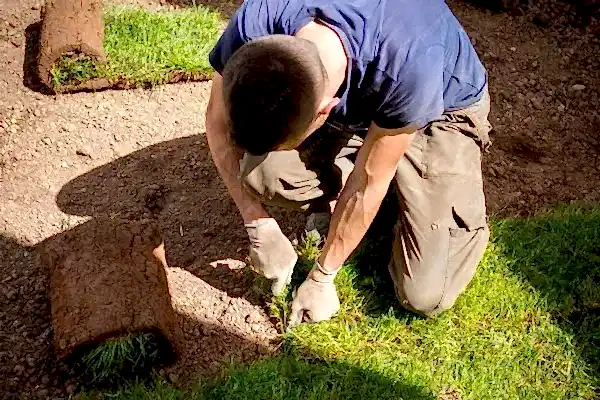 Rulo Çim Temini ve Serimi