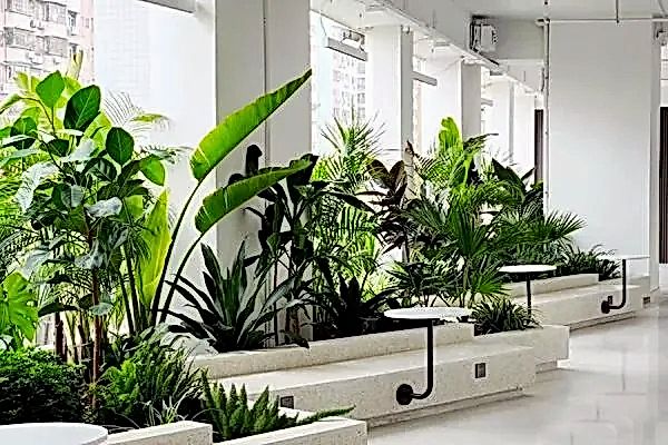 İç Mekan Uygulamaları