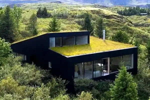 Yeşil Çatı Uygulamaları