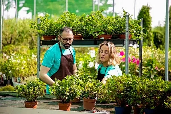 Bitki Temini ve Satışı