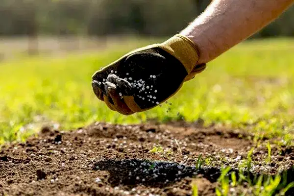 Torf, Gübre ve Ponza Temini